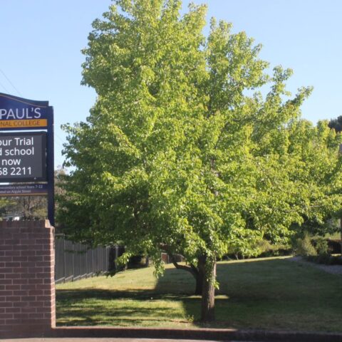 Trường trung học ở Úc_1