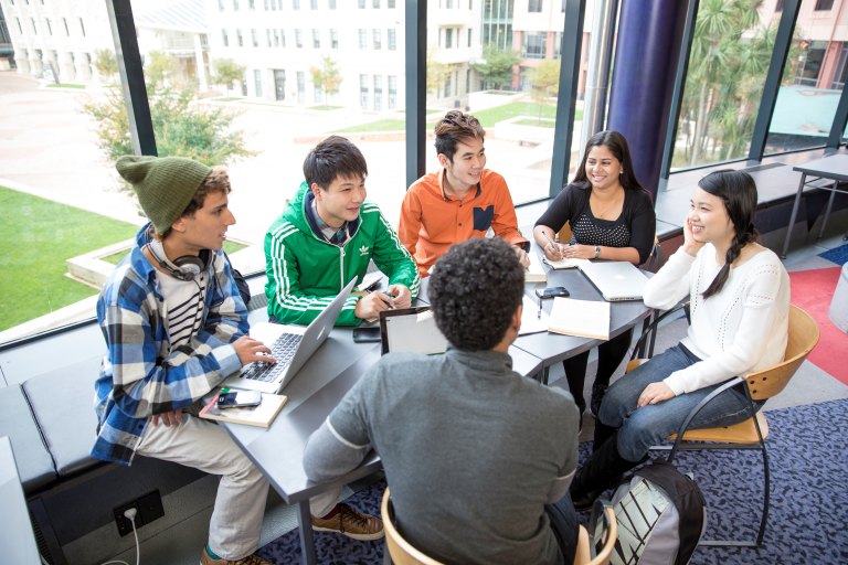 du hoc cap 3 tai new zealand 1