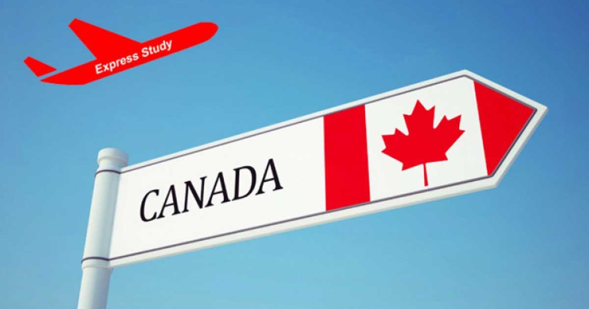 Du học Cao đẳng Canada: Cơ hội học tập, làm việc và định cư 1