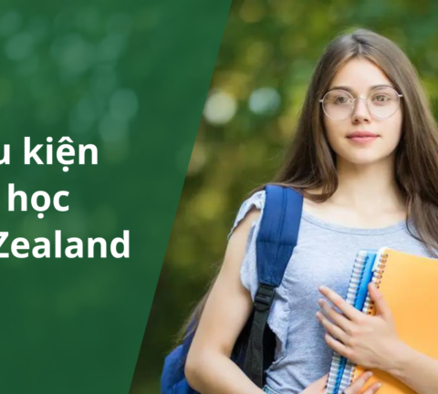 điều kiện du học New Zealand 1