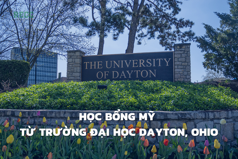 Học bổng đại học Dayton 1