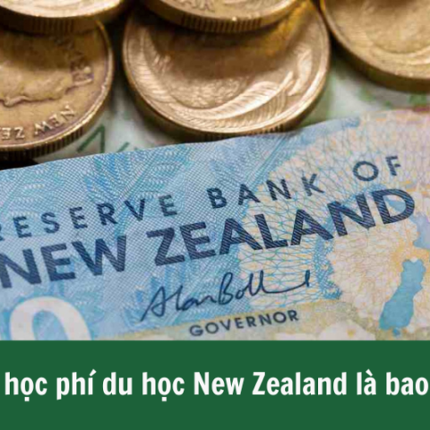 Học phí du học New Zealand 2
