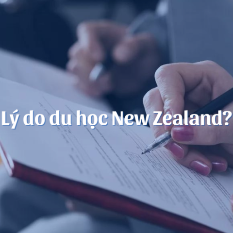 Tư vấn du học New Zealand 2