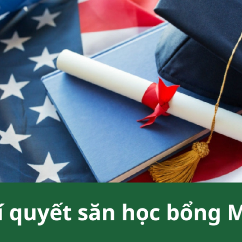 săn học bổng Mỹ 1