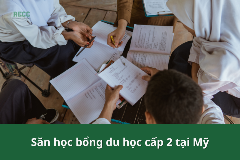 săn học bổng du học Mỹ cấp 2 5
