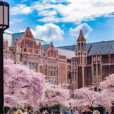 Đại học Washington_1