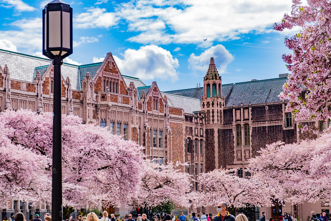 Đại học Washington_1